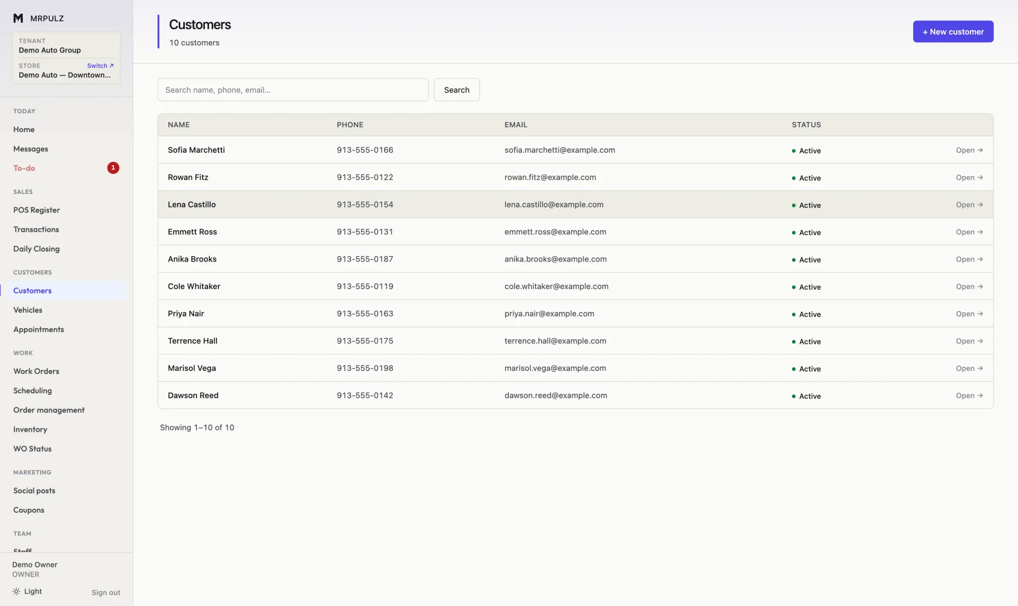 Customer list showing name, phone, email, vehicle count and status for each customer